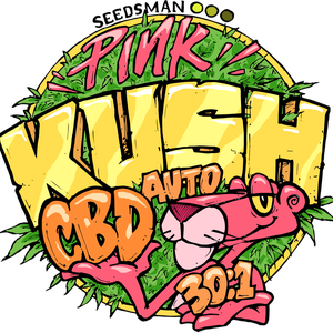Pink Kush CBD 30:1 Auto