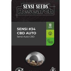 Sensi #34 - Auto CBD Seeds