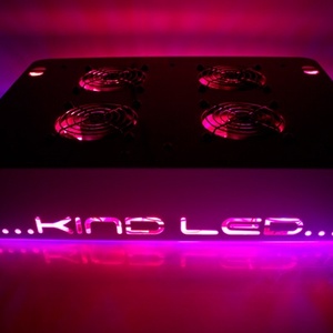 Kind LED K3 - L300